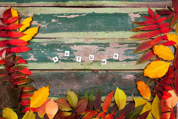 Autumn maple leaves over old green wooden background with copy space and text Autumn — Stock Photo, Image