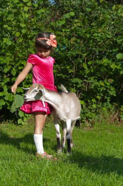 Girl with the goat in the summer — Stock Photo, Image
