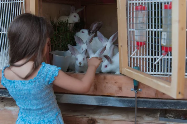 Mädchen und weiße Kaninchen — Stockfoto