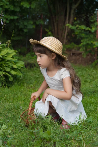 Girl with a basket in the summer — Stock Photo, Image