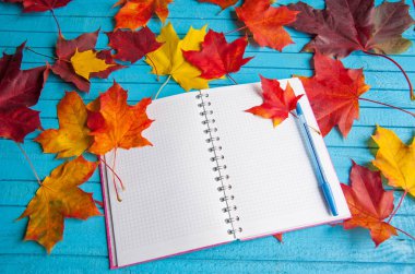 Sonbahar için parlak planları.