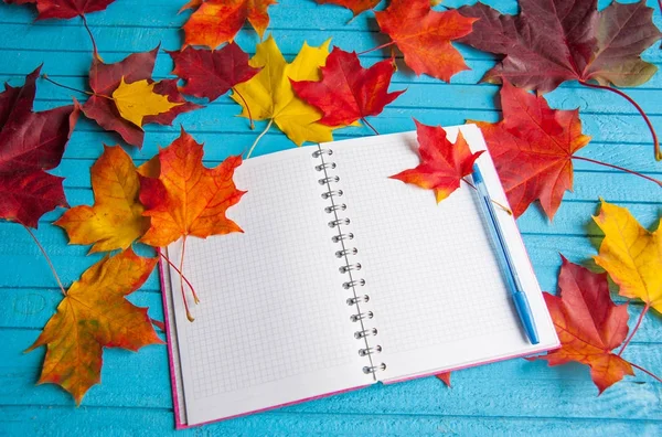 Sonbahar için parlak planları.