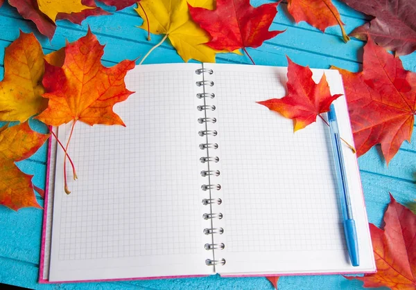 Sonbahar için parlak planları.