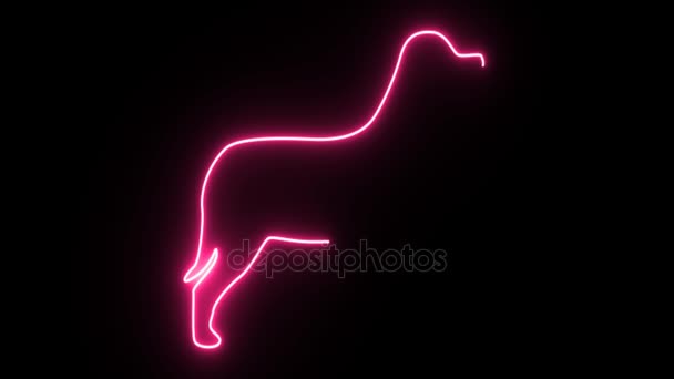 4 k Neon rosa hund form flimmer på mörk bakgrund — Stockvideo