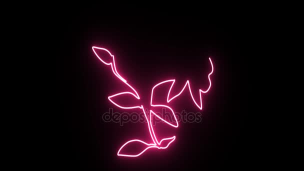 4K Neon pink flower shape flickering on dark background — Stock Video