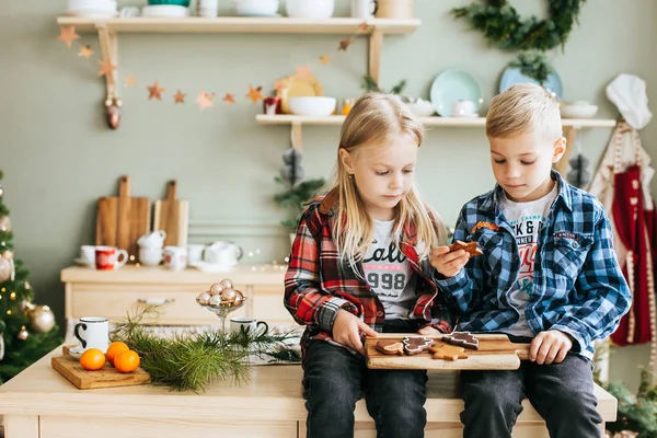 Küçük bir kız ve erkek kardeşin portresi mutfakta Noel Baba 'yı bekliyor.
