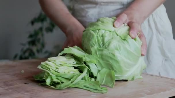 Slices Fresh Organic Cabbage Making Salad Salting Cabbage Natural Background — Stock Video