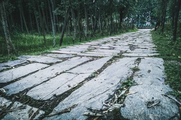 Sebuah jalan berbatu mengarah ke hutan lebat di Manasbal Kashmir — Stok Foto