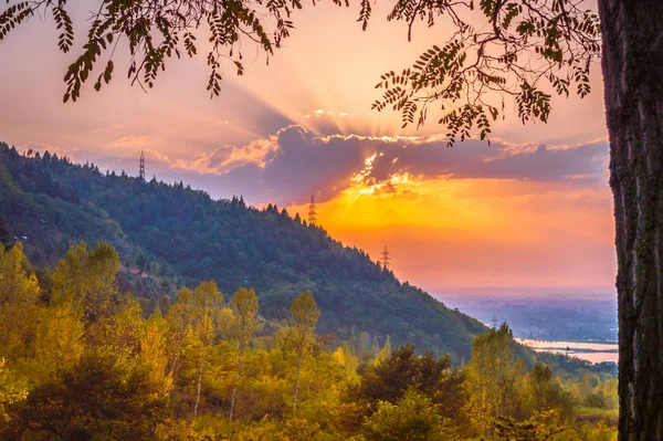 Pôr do sol sobre Dal Lake em Caxemira como visto de Sunset Point, Nishat emoldurado por uma árvore — Fotografia de Stock