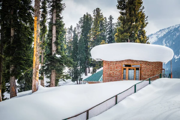 A lodge cabin in a dense forest during snow season. A house in a winter landscape in Kashmir