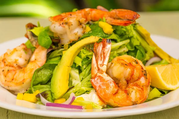 Insalata Di Gamberoni — Foto Stock