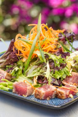 Kurutulmuş Ahi salata