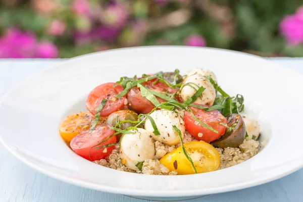 Ensalada de quinua caprese — Foto de Stock