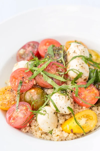 Caprese-Quinoa-Salat — Stockfoto