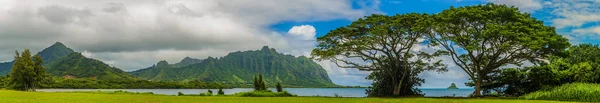 전형적인 하와이 풍경 스톡 이미지