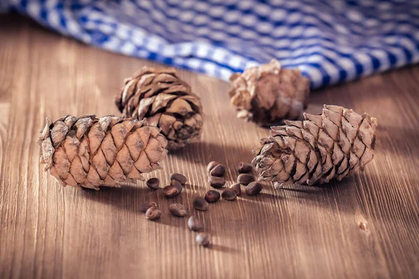 Pine nuts and cones — Stock Photo, Image