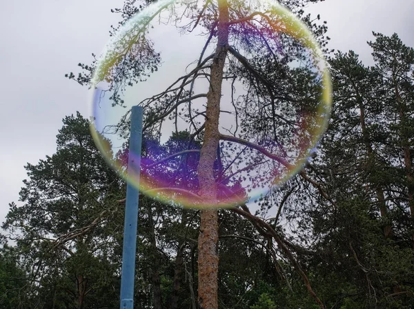 soap bubbles against a cloudy sky, Mosco