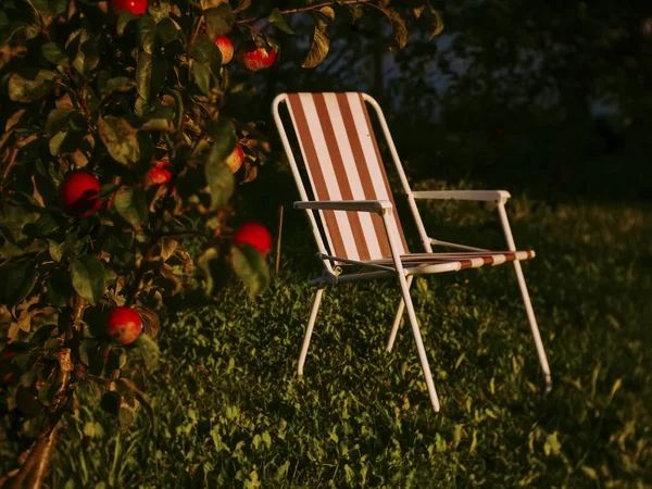 Cadeira Dobrável Jardim Verão Rússia — Fotografia de Stock