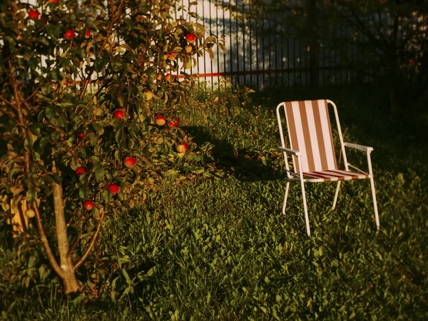 folding chair in the garden in summer, Russia