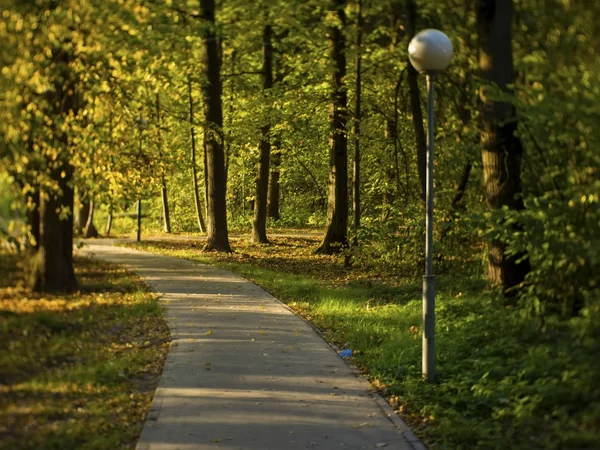 Paved Path Park Summer Moscow — Stock Photo, Image