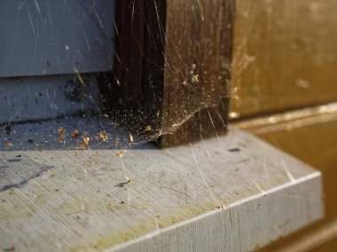 web in the corner of a window in summer, Russia