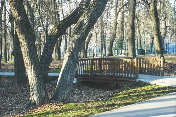 Most Drewniany Nad Rowem Parku Moskwa — Zdjęcie stockowe