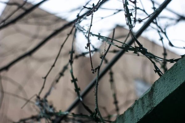 Arame Farpado Uma Cerca Concreto Moscou — Fotografia de Stock