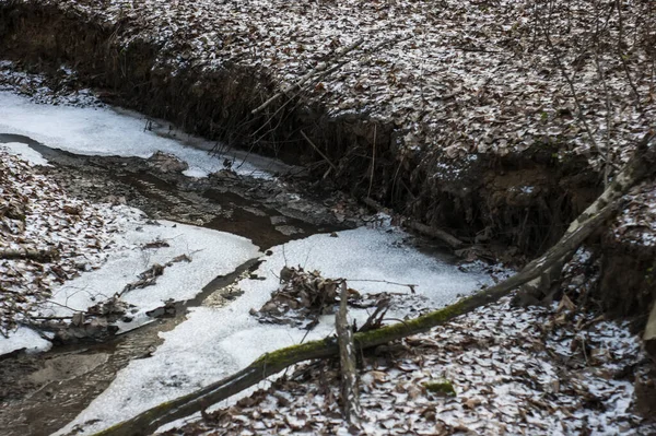 Fluxo Floresta Inverno Moscou — Fotografia de Stock