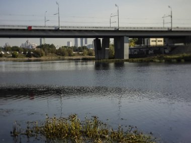 Yazın Moskova nehrinde çimenler, Rusya