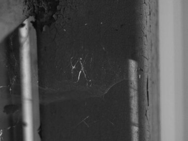 Metal bir çitin köşesindeki ağ, Rusya