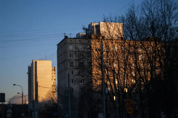 Árboles Desnudos Invierno Fondo Edificio Varios Pisos Moscú —  Fotos de Stock