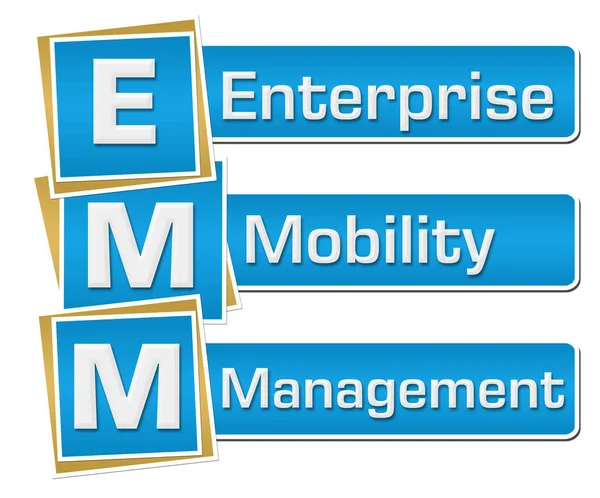 EMM Enterprise Mobility Management สีน้ําเงินแนวตั้ง — ภาพถ่ายสต็อก
