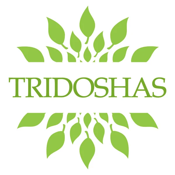 텍스트와 Ayurveda 이미지 Tridoshas — 스톡 사진