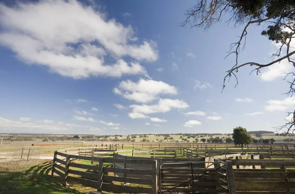 A cattle yard in Western Australia.