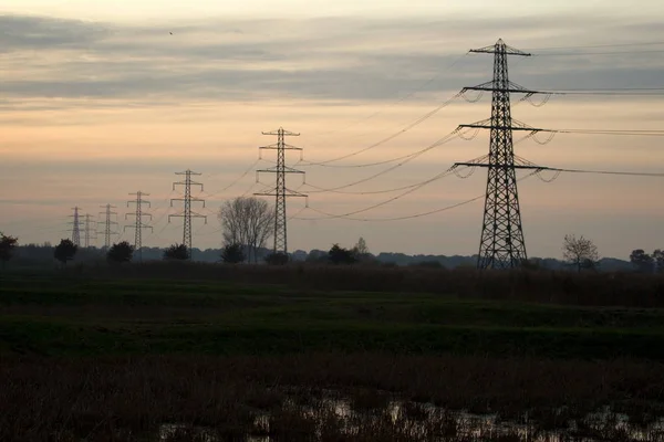 Hoogeveen Die Niederlande November 2019 Hochspannungskabel Mit Staren Bei Sonnenuntergang — Stockfoto