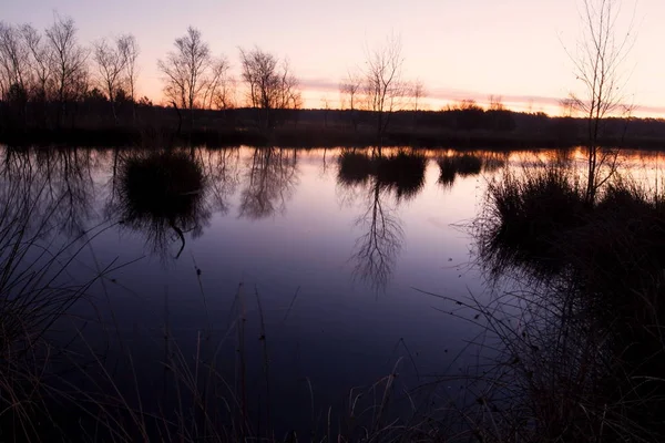 Staw Torfowy Wschodzie Słońca Dwingelderveld Holandia — Zdjęcie stockowe