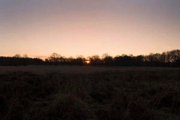 Nascer Sol Sobre Dwingelderveld Países Baixos — Fotografia de Stock