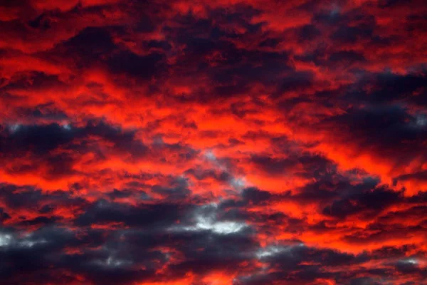 Оранжевые Светящиеся Утренние Облака Над Ауде Кене Хогевине Нидерланды Стоковое Изображение