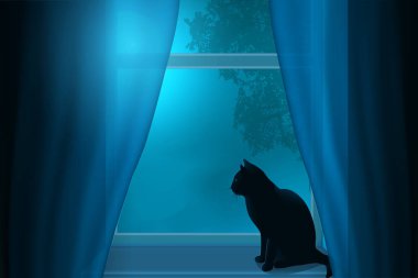 Bir pencere bir pencerede Ayın ışığı altında oturan bir kedi silüeti.