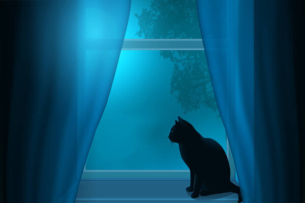 Silhouette of a cat sitting on a windowsill under the light of the moon in a window.