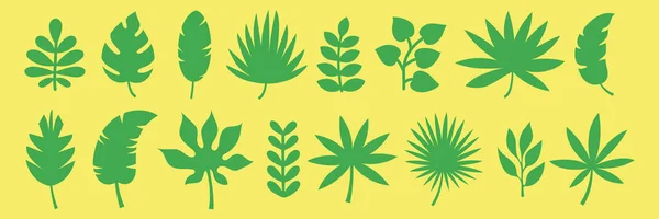 Feuilles Vertes Tropicales Différentes Espèces Arbres — Image vectorielle