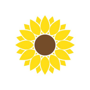 Düz biçim vektöründe ayçiçeği izole edildi