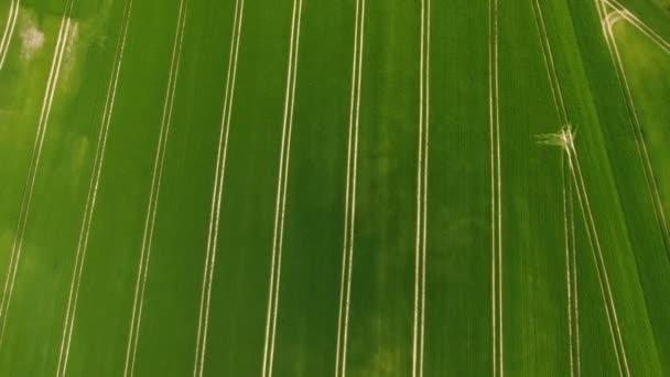 Letecký pohled na zemědělské půdě — Stock video