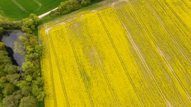 A légi felvétel a mezőgazdasági földterületek — Stock videók