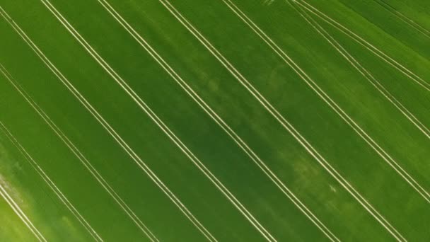 Vista aérea de las tierras de cultivo — Vídeo de stock