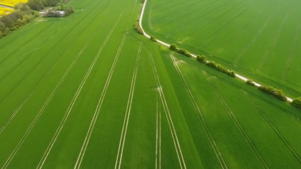 Luchtfoto van landbouwgrond — Stockvideo