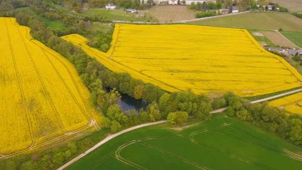 Вид с воздуха на сельскохозяйственные угодья — стоковое видео
