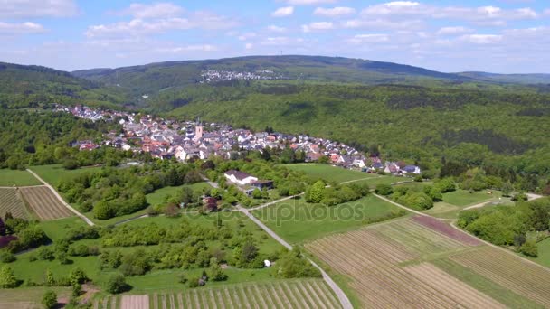 Letecký pohled na Rauenthal, oblasti Rheingau-Taunus — Stock video