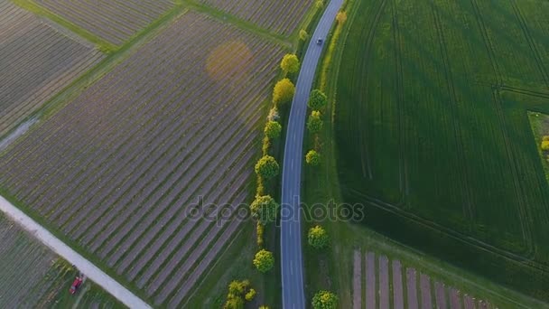 Landstraße durch Weinberge in der Abenddämmerung — Stockvideo