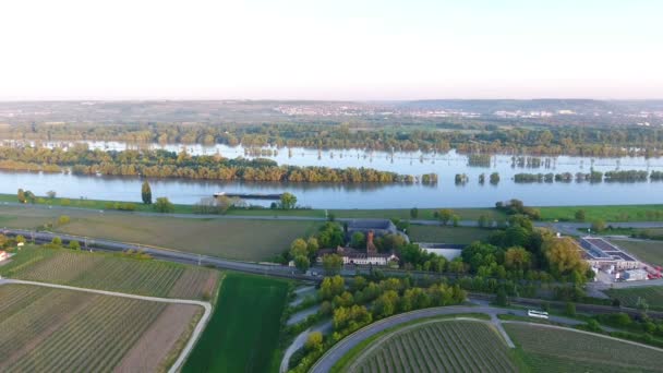 Flygfoto över Hattenheim, Eltville och floden Rhen — Stockvideo